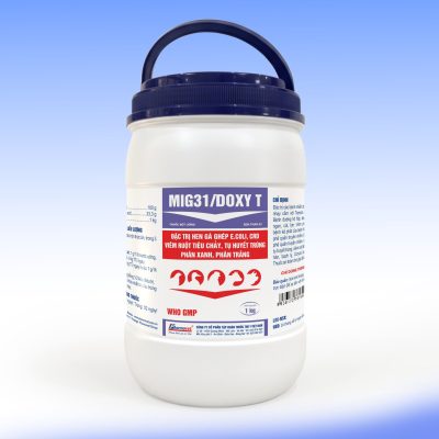 MIG31/DOXY T